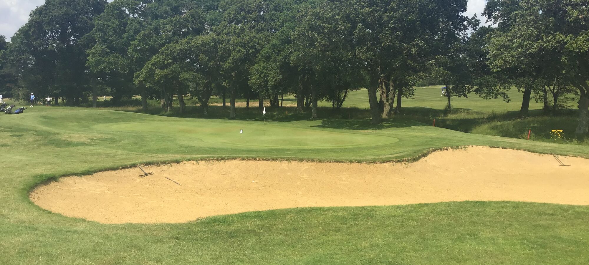 Mid Sussex Golf Club Mid Sussex Golf Club